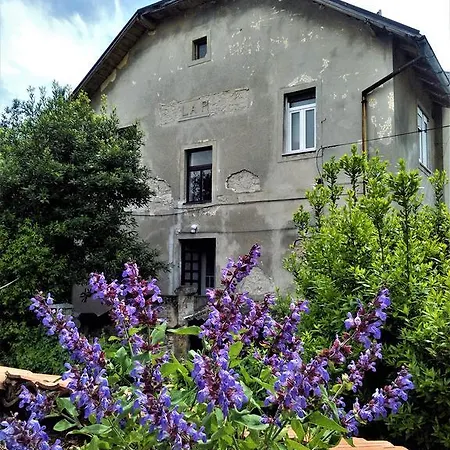 Apartment Captain House *